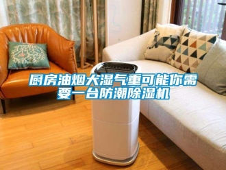 企業(yè)新聞廚房油煙大濕氣重可能你需要一臺防潮除濕機(jī)
