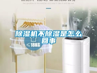 企業新聞除濕機不除濕是怎么回事
