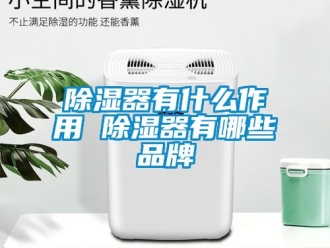 行業新聞除濕器有什么作用 除濕器有哪些品牌