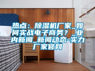 常見問題熱點：除濕機廠家_如何實戰電子商務？_業內新聞_新聞動態-實力廠家官網