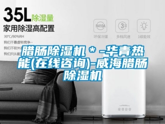 行業新聞臘腸除濕機＊-華青熱能(在線咨詢)-威海臘腸除濕機