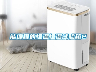 知識百科能編程的恒溫恒濕試驗箱2