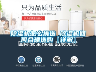 行業新聞除濕機怎么挑選 除濕機如何合理選購【詳解】