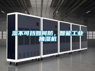 常見問題濕不可擋如何防，智能工業抽濕機
