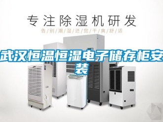 知識百科武漢恒溫恒濕電子儲存柜安裝