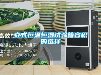 知識百科立式恒溫恒濕試驗箱容積的選擇