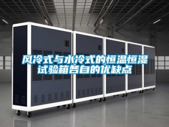 知識百科風(fēng)冷式與水冷式的恒溫恒濕試驗箱各自的優(yōu)缺點