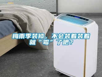 行業(yè)新聞梅雨季裝修，不會裝著裝著就“霉”了吧？