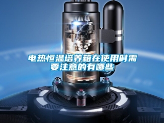 知識百科電熱恒溫培養箱在使用時需要注意的有哪些