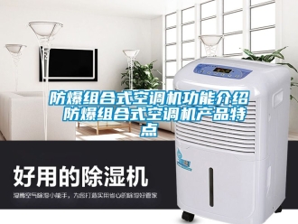 企業(yè)新聞防爆組合式空調(diào)機(jī)功能介紹 防爆組合式空調(diào)機(jī)產(chǎn)品特點(diǎn)