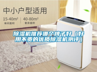 行業新聞除濕機推薦哪個牌子好（好用不貴的優質除濕機測評）