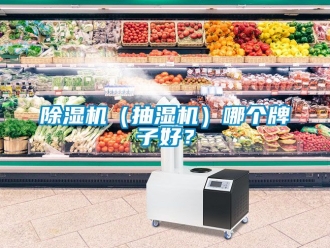 企業新聞除濕機（抽濕機）哪個牌子好？