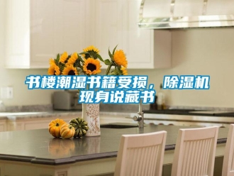 知識百科書樓潮濕書籍受損，除濕機現身說藏書