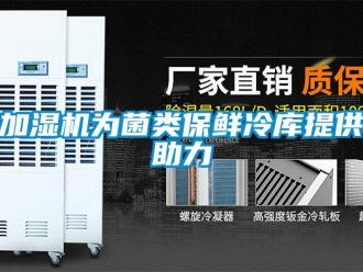 行業新聞加濕機為菌類保鮮冷庫提供助力