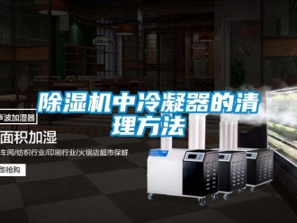 企業新聞除濕機中冷凝器的清理方法