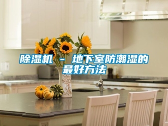 企業新聞除濕機 - 地下室防潮濕的最好方法