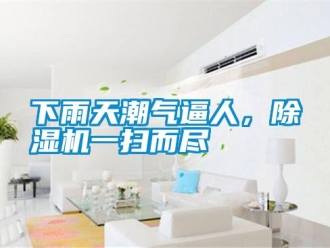 知識百科下雨天潮氣逼人，除濕機一掃而盡