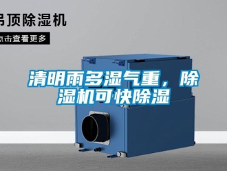 行業新聞清明雨多濕氣重，除濕機可快除濕