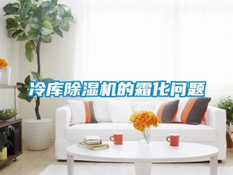 常見問題冷庫除濕機的霜化問題