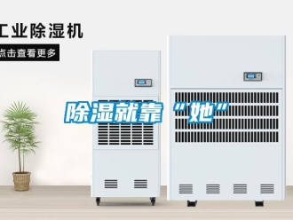 企業新聞除濕就靠“她”