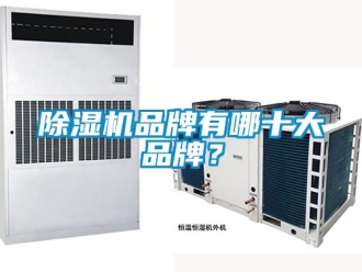 企業(yè)新聞除濕機品牌有哪十大品牌？