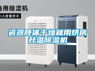 企業新聞瓷器胚體干燥就用烘房升溫除濕機