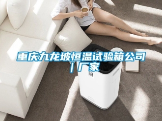 知識(shí)百科重慶九龍坡恒溫試驗(yàn)箱公司｜廠家