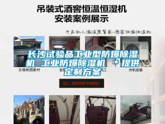 企業新聞長沙試驗品工業型防爆除濕機 工業防爆除濕機 ＊提供定制方案