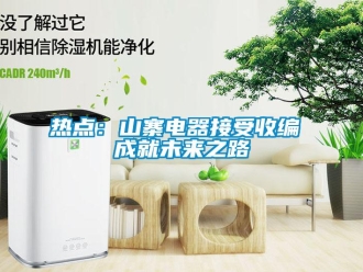 行業(yè)新聞熱點(diǎn)：山寨電器接受收編 成就未來(lái)之路