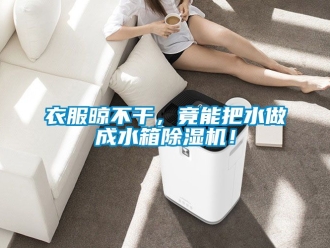 行業(yè)新聞衣服晾不干，竟能把水做成水箱除濕機(jī)！