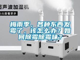 常見問題梅雨季，各種東西發霉了，該怎么辦？如何除霉除霉味？