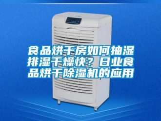 行業新聞食品烘干房如何抽濕排濕干燥快？日業食品烘干除濕機的應用