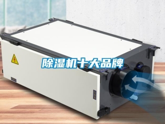 企業(yè)新聞除濕機(jī)十大品牌