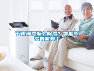常見問題下雨潮濕怎么除濕？智能除濕機(jī)顯身手