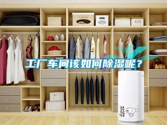 常見問題工廠車間該如何除濕呢？
