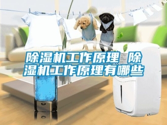 行業新聞除濕機工作原理 除濕機工作原理有哪些