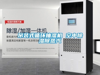 企業新聞吊裝式循環抽濕機 空中除濕除蒸汽