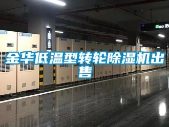 常見問題金華低溫型轉(zhuǎn)輪除濕機出售