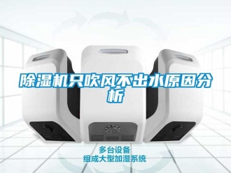 企業新聞除濕機只吹風不出水原因分析