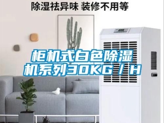 行業(yè)新聞柜機式白色除濕機系列30KG／H