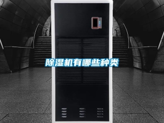 行業新聞除濕機有哪些種類