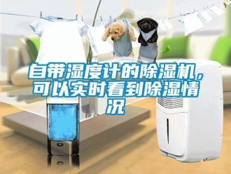 行業新聞自帶濕度計的除濕機，可以實時看到除濕情況