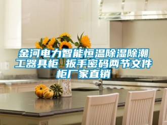 知識百科金河電力智能恒溫除濕除潮工器具柜 扳手密碼兩節文件柜廠家直銷
