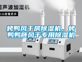 行業(yè)新聞烤鴨風(fēng)干房除濕機(jī)，烤鴨鴨胚風(fēng)干專用除濕機(jī)