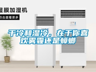 企業新聞干冷和濕冷，在于你喜歡霧霾還是蟑螂