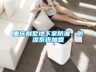 企業(yè)新聞重慶別墅地下室防潮、防濕系統(tǒng)加盟