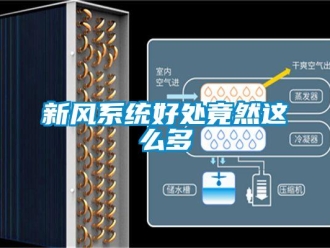 知識百科新風系統好處竟然這么多