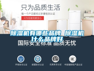 企業新聞除濕機有哪些品牌 除濕機什么品牌好