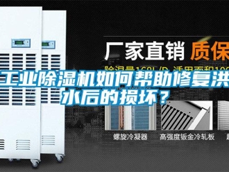 常見問題工業除濕機如何幫助修復洪水后的損壞？