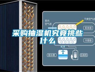 企業新聞采購抽濕機究竟挑些什么